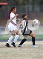 Photo from the gallery "Seventy-First @ South View"
