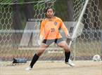 Photo from the gallery "Seventy-First @ South View"
