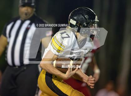 Thumbnail 3 in Maplesville vs. Leroy (AHSAA 1A Round 2) photogallery.