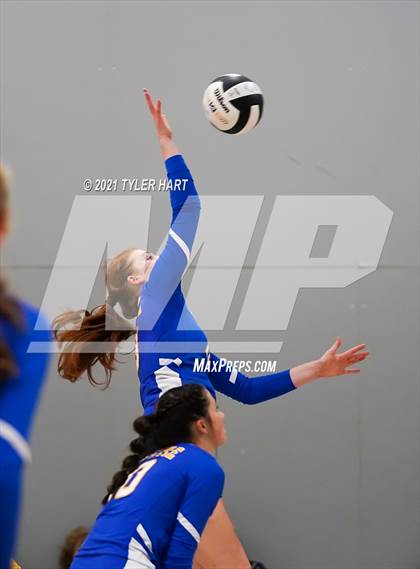 Thumbnail 2 in Yorktown Vs Castle (Bulldog Challenge) photogallery.