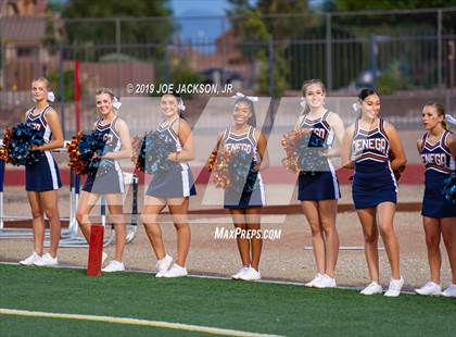 Thumbnail 1 in Cholla @ Cienega  photogallery.