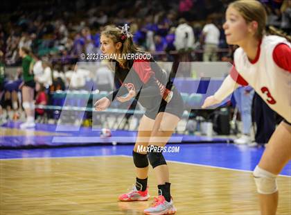 Thumbnail 1 in Simla vs. Otis (CHSAA 1A Round 2) photogallery.