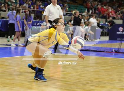 Thumbnail 2 in Simla vs. Otis (CHSAA 1A Round 2) photogallery.