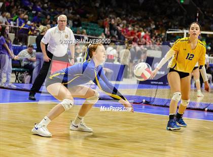 Thumbnail 3 in Simla vs. Otis (CHSAA 1A Round 2) photogallery.