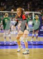 Photo from the gallery "Simla vs. Otis (CHSAA 1A Round 2)"