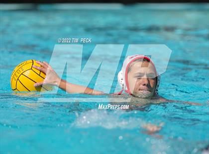 Thumbnail 3 in Troy @ Canyon photogallery.
