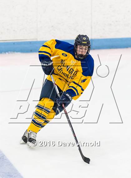 Thumbnail 1 in Reading Memorial vs Arlington Catholic ( MIAA Division 1 North Semifinal) photogallery.