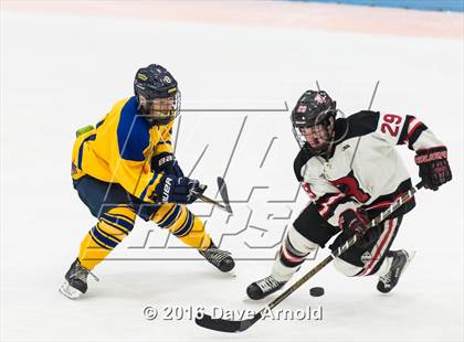 Thumbnail 1 in Reading Memorial vs Arlington Catholic ( MIAA Division 1 North Semifinal) photogallery.