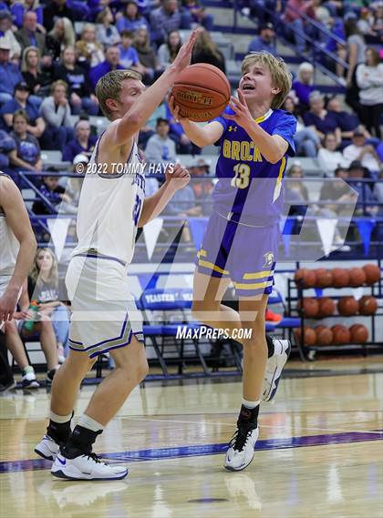 Thumbnail 1 in Brock @ Peaster photogallery.