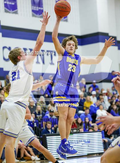 Thumbnail 1 in Brock @ Peaster photogallery.