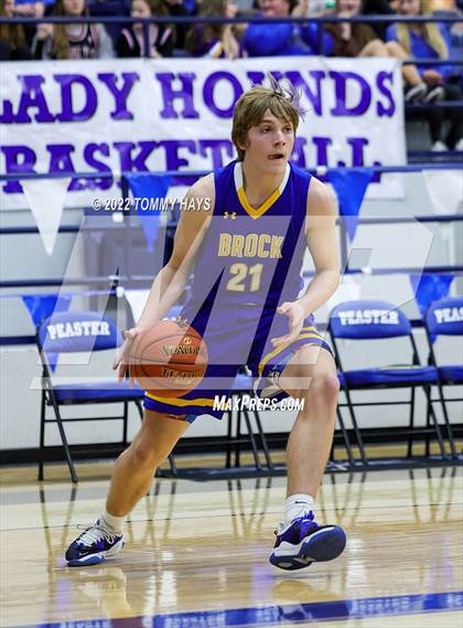 Thumbnail 1 in Brock @ Peaster photogallery.