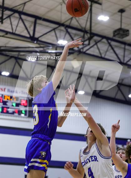 Thumbnail 2 in Brock @ Peaster photogallery.