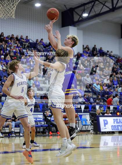 Thumbnail 3 in Brock @ Peaster photogallery.