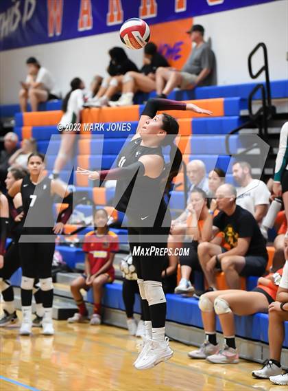 Thumbnail 1 in Hamilton vs. Perry (Westwood Tournament of Champions) photogallery.