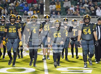 Thumbnail 3 in Grandview vs. Malakoff (3A Division 1 Region 2 Quarterfinal) photogallery.