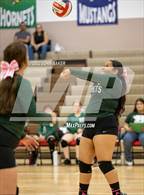 Photo from the gallery "Beatty @ Tonopah"