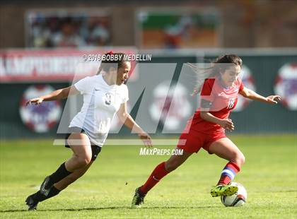 Thumbnail 3 in Chavez vs. Buchanan photogallery.