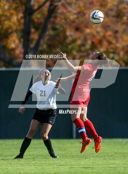 Thumbnail 2 in Chavez vs. Buchanan photogallery.