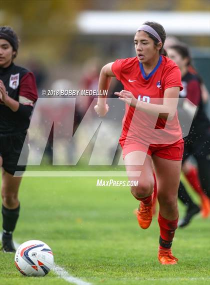 Thumbnail 2 in Chavez vs. Buchanan photogallery.