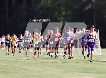 Thumbnail 1 in Beach District Cross Country #2 (@Kellam HS) photogallery.
