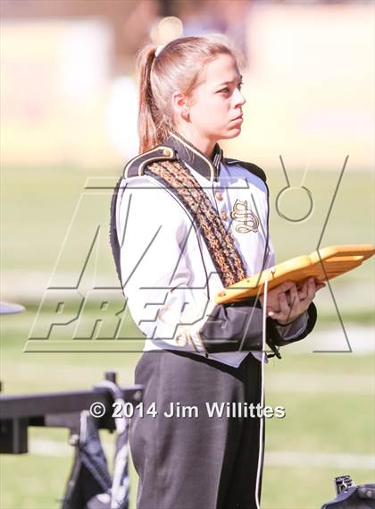 Thumbnail 1 in Saguaro vs. Williams Field (AIA D3 Final) photogallery.