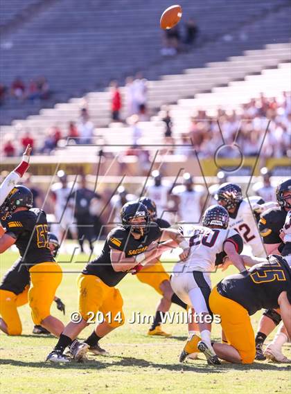 Thumbnail 2 in Saguaro vs. Williams Field (AIA D3 Final) photogallery.