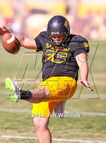 Thumbnail 1 in Saguaro vs. Williams Field (AIA D3 Final) photogallery.