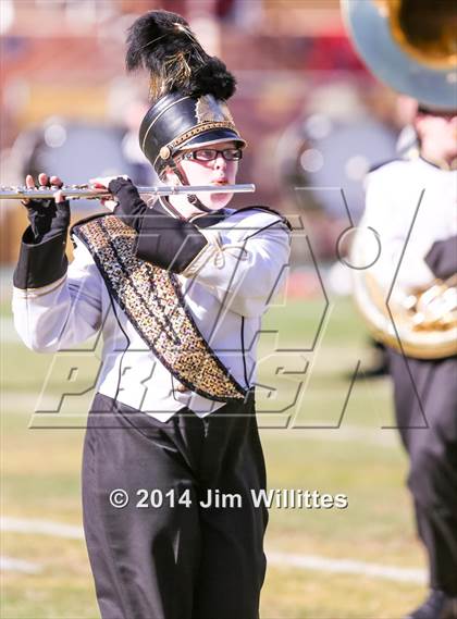 Thumbnail 1 in Saguaro vs. Williams Field (AIA D3 Final) photogallery.