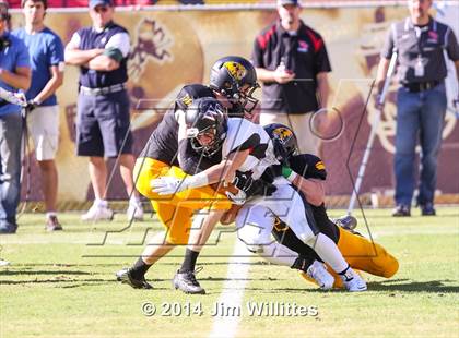 Thumbnail 1 in Saguaro vs. Williams Field (AIA D3 Final) photogallery.