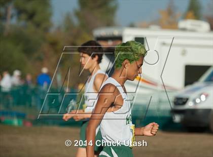 Thumbnail 1 in CIF State Cross Country Championships (D3 Boys Race) photogallery.
