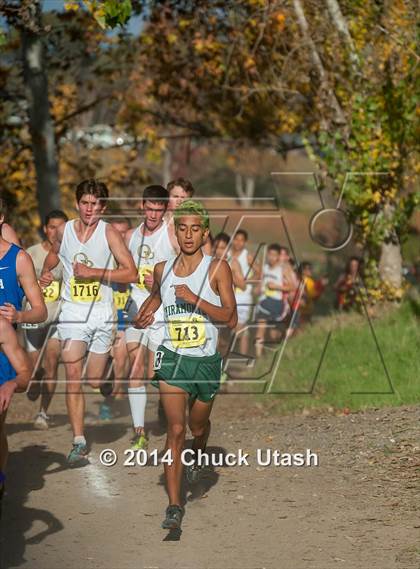 Thumbnail 1 in CIF State Cross Country Championships (D3 Boys Race) photogallery.