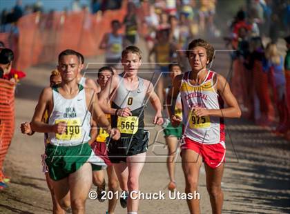 Thumbnail 3 in CIF State Cross Country Championships (D3 Boys Race) photogallery.
