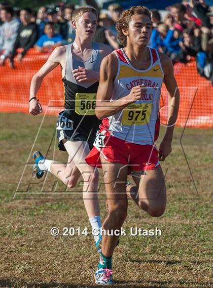 Thumbnail 1 in CIF State Cross Country Championships (D3 Boys Race) photogallery.