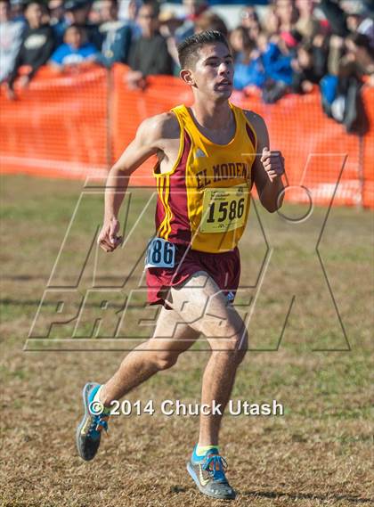 Thumbnail 3 in CIF State Cross Country Championships (D3 Boys Race) photogallery.