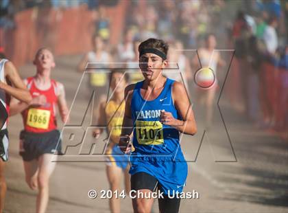 Thumbnail 1 in CIF State Cross Country Championships (D3 Boys Race) photogallery.