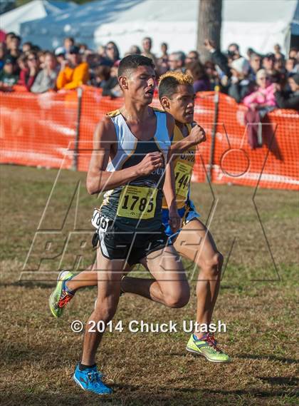 Thumbnail 1 in CIF State Cross Country Championships (D3 Boys Race) photogallery.