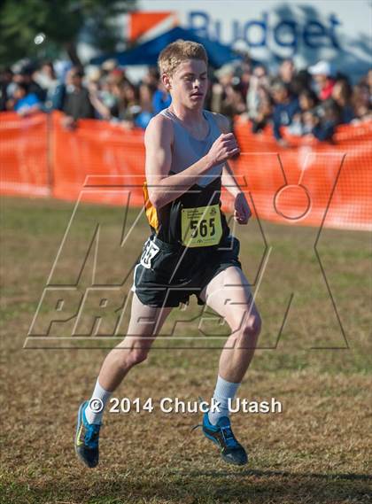 Thumbnail 3 in CIF State Cross Country Championships (D3 Boys Race) photogallery.