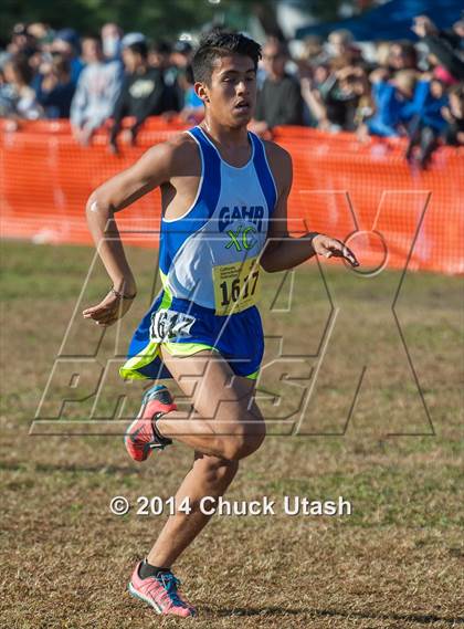 Thumbnail 3 in CIF State Cross Country Championships (D3 Boys Race) photogallery.