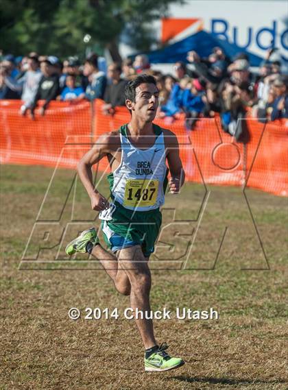 Thumbnail 1 in CIF State Cross Country Championships (D3 Boys Race) photogallery.