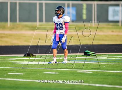 Thumbnail 1 in North Forney @ Rockwall Heath photogallery.