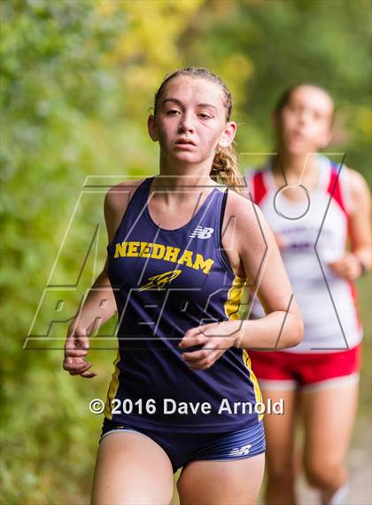 Thumbnail 3 in Brookline, Dedham, Milton @ Needham photogallery.