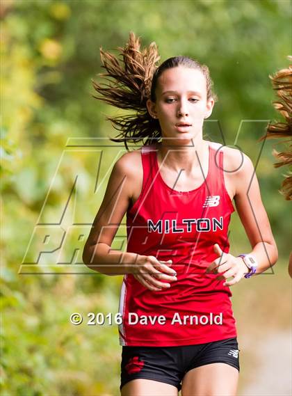 Thumbnail 3 in Brookline, Dedham, Milton @ Needham photogallery.
