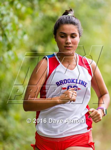 Thumbnail 1 in Brookline, Dedham, Milton @ Needham photogallery.