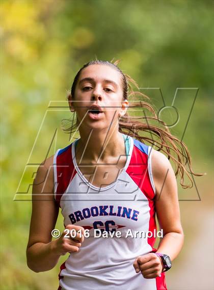 Thumbnail 2 in Brookline, Dedham, Milton @ Needham photogallery.