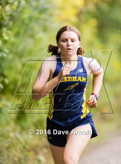 Thumbnail 3 in Brookline, Dedham, Milton @ Needham photogallery.