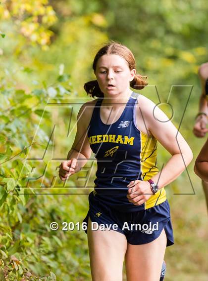 Thumbnail 1 in Brookline, Dedham, Milton @ Needham photogallery.