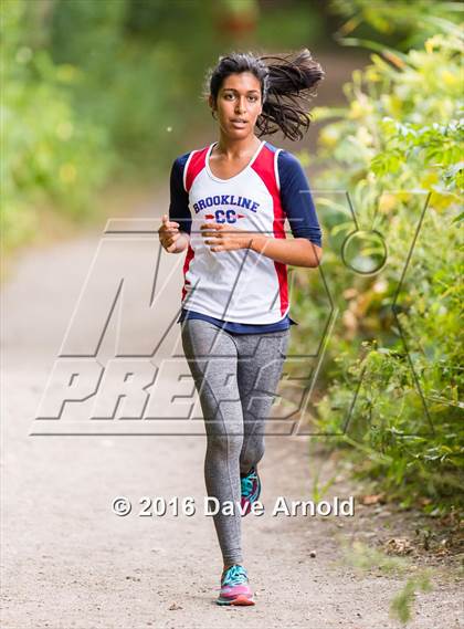 Thumbnail 1 in Brookline, Dedham, Milton @ Needham photogallery.