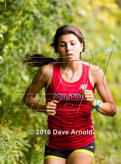 Thumbnail 1 in Brookline, Dedham, Milton @ Needham photogallery.