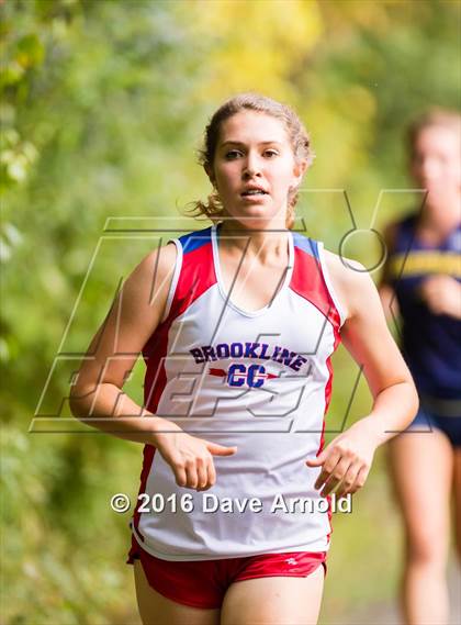 Thumbnail 1 in Brookline, Dedham, Milton @ Needham photogallery.