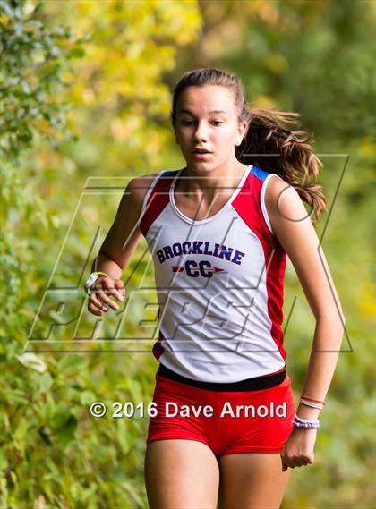 Thumbnail 2 in Brookline, Dedham, Milton @ Needham photogallery.